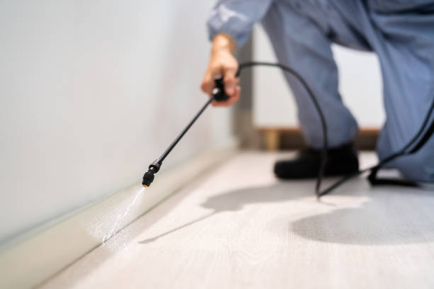 Bed Bug Pre-Treatment Preparation Assessment in Merrill