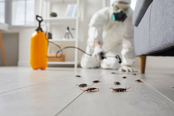 Post-Treatment Bed Bug Interceptor Monitoring in Merrill