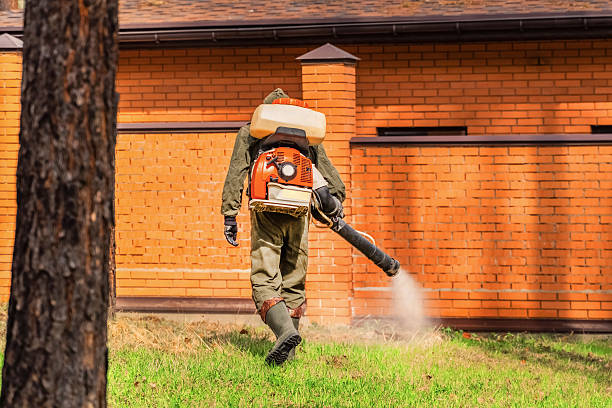 Bed Bug Clearance Verification and Documentation in Merrill